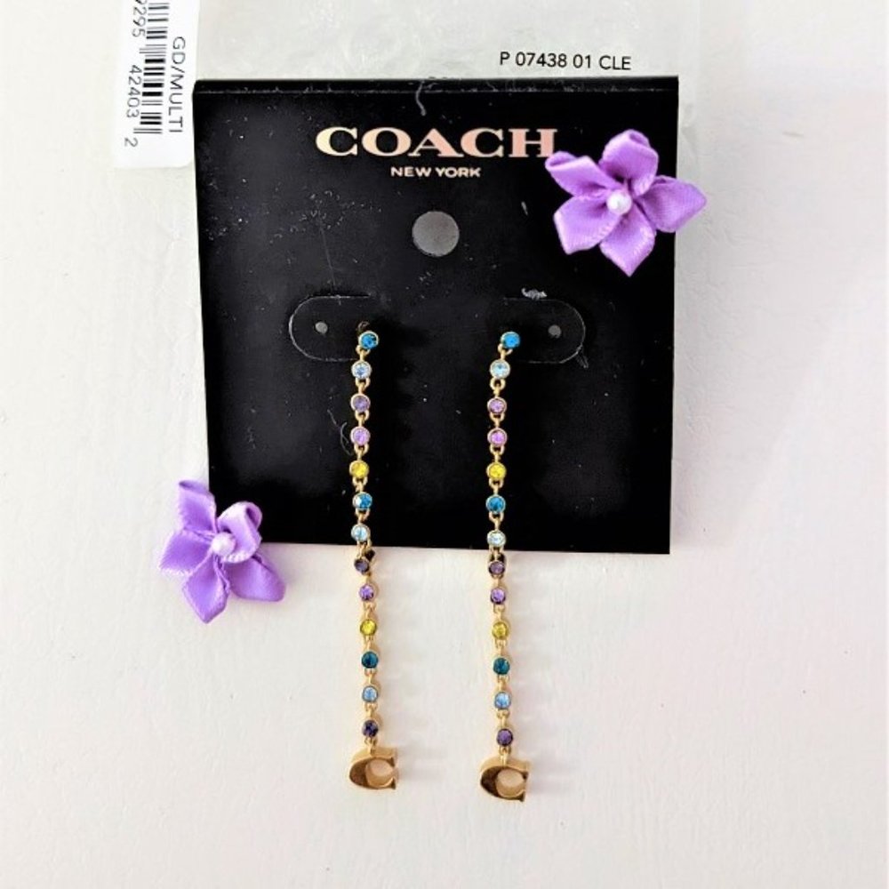 Coach 2021 Pride Collection Multicolor Crystals Stone Drop Earrings